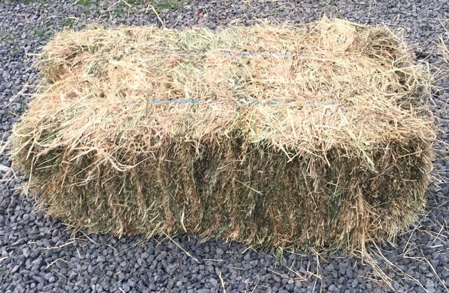 Clover & Rye Hay Small Bales x 2,500 All Shedded Hay
